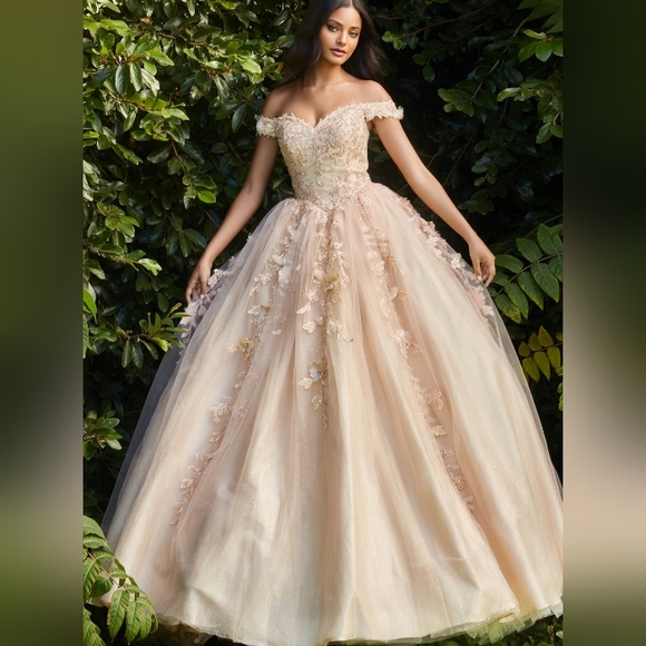 Prom dress - Picture 8 of 12